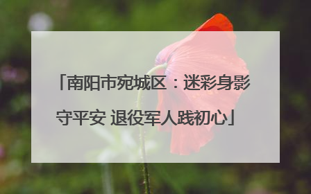 南阳市宛城区：迷彩身影守平安 退役军人践初心